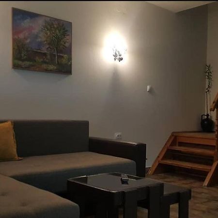 Kuca Ribarev san Villa Beocin Dış mekan fotoğraf