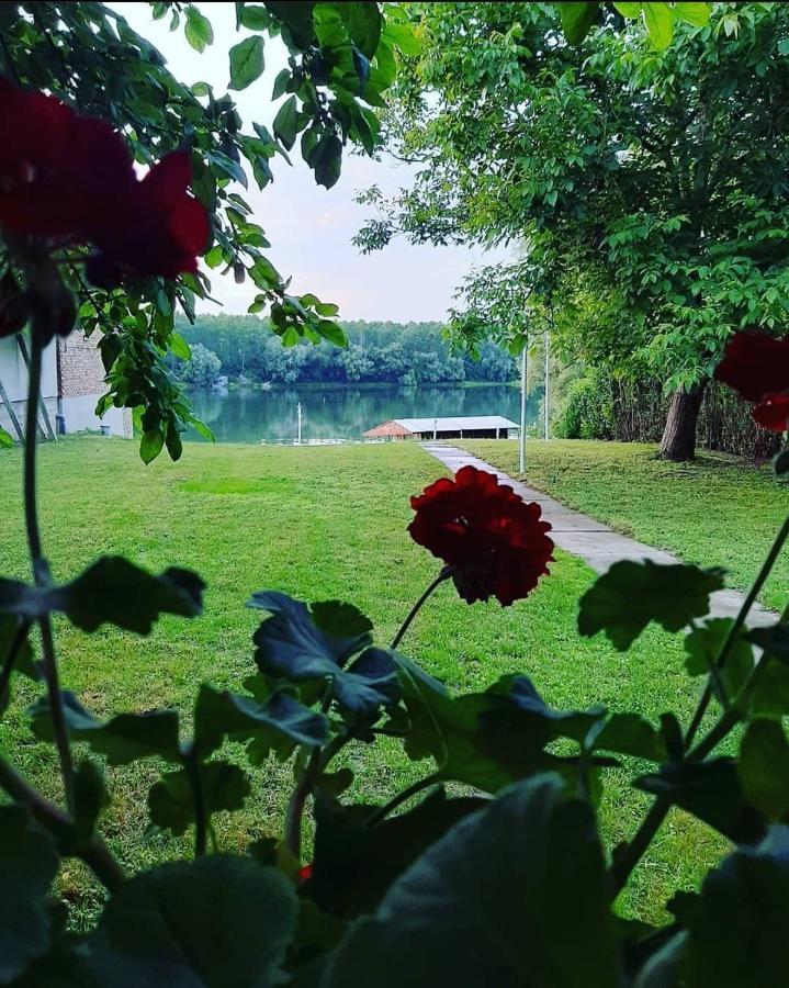 Kuca Ribarev san Villa Beocin Dış mekan fotoğraf