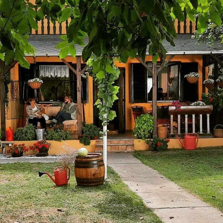 Kuca Ribarev san Villa Beocin Dış mekan fotoğraf