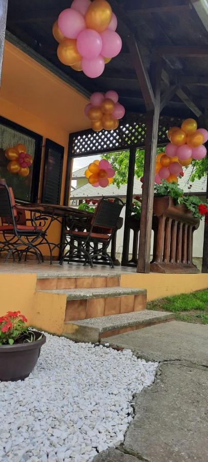 Kuca Ribarev san Villa Beocin Dış mekan fotoğraf