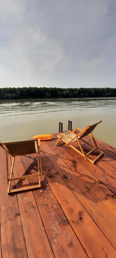 Kuca Ribarev san Villa Beocin Dış mekan fotoğraf