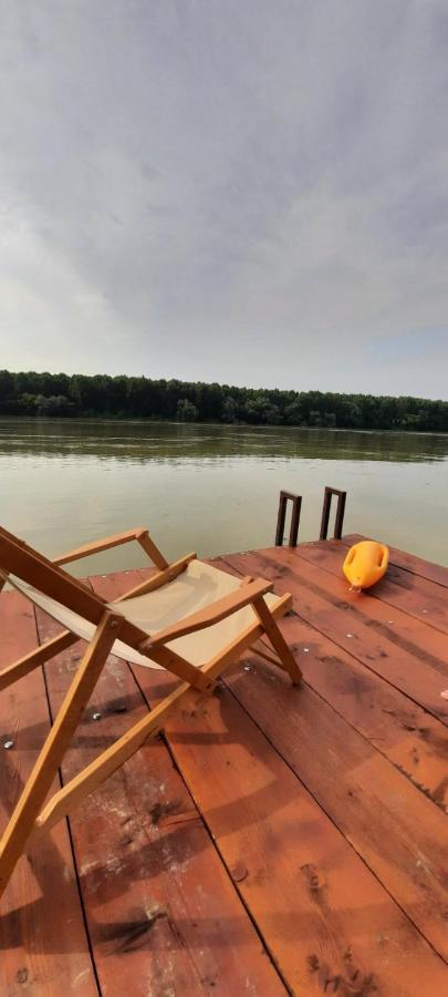 Kuca Ribarev san Villa Beocin Dış mekan fotoğraf