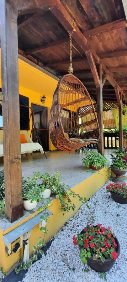 Kuca Ribarev san Villa Beocin Dış mekan fotoğraf