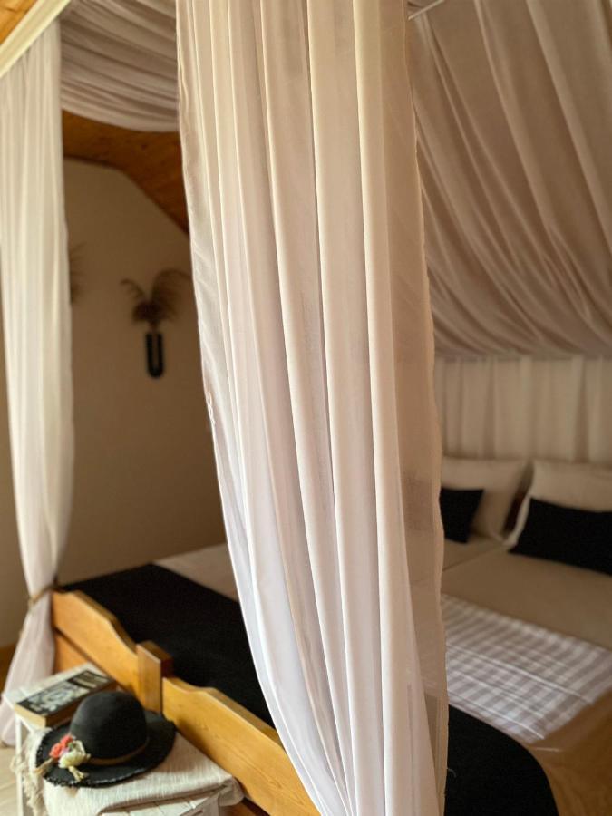 Kuca Ribarev san Villa Beocin Dış mekan fotoğraf