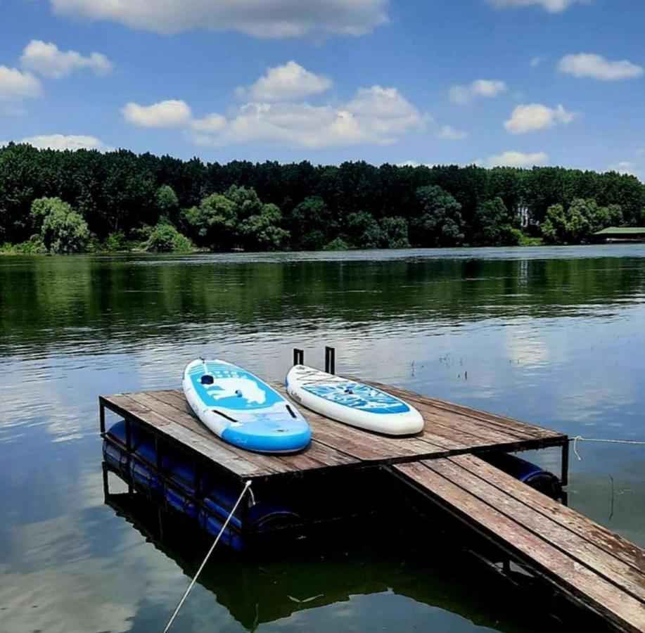 Kuca Ribarev san Villa Beocin Dış mekan fotoğraf